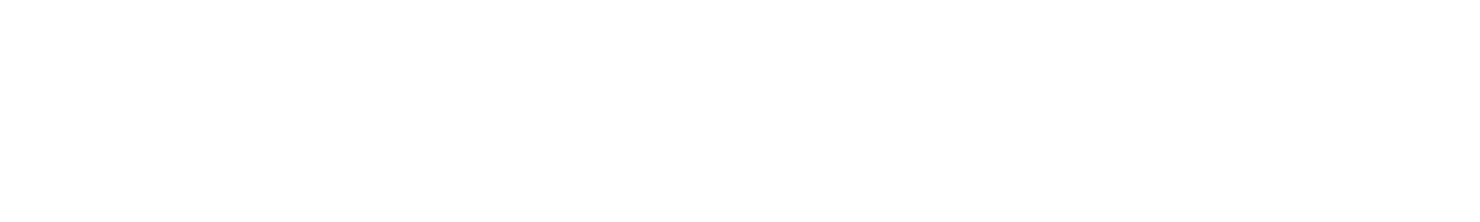Nerdio horizontal logo — dark background