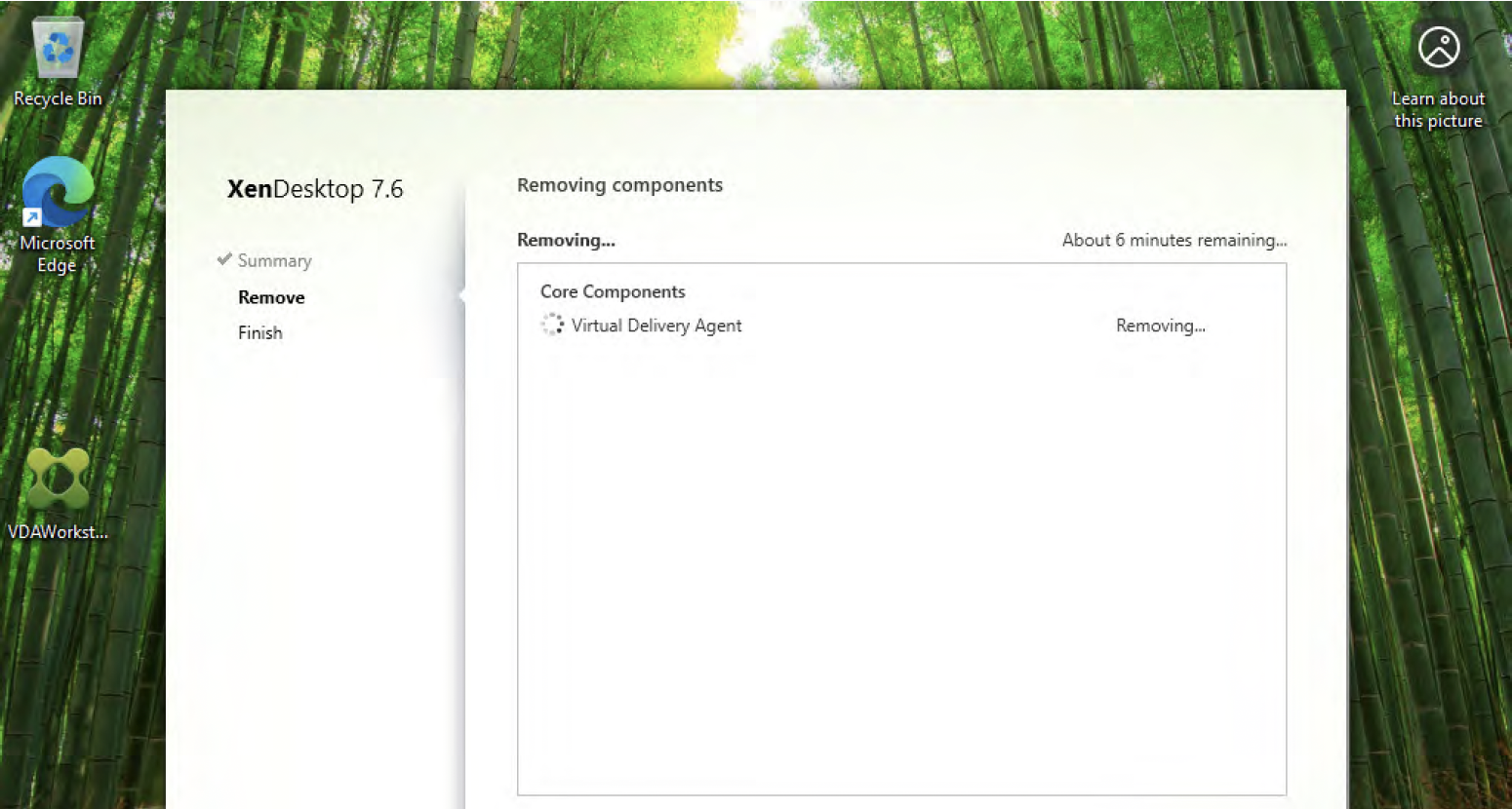 Citrix VDA Agent
