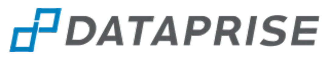 Dataprise Logo